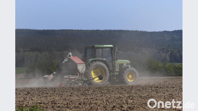 Es staubt auf den Feldern: Auch die Äcker und Wiesen im Landkreis Amberg-Sulzbach sind wieder einmal zu trocken. Bild: Petra Hartl