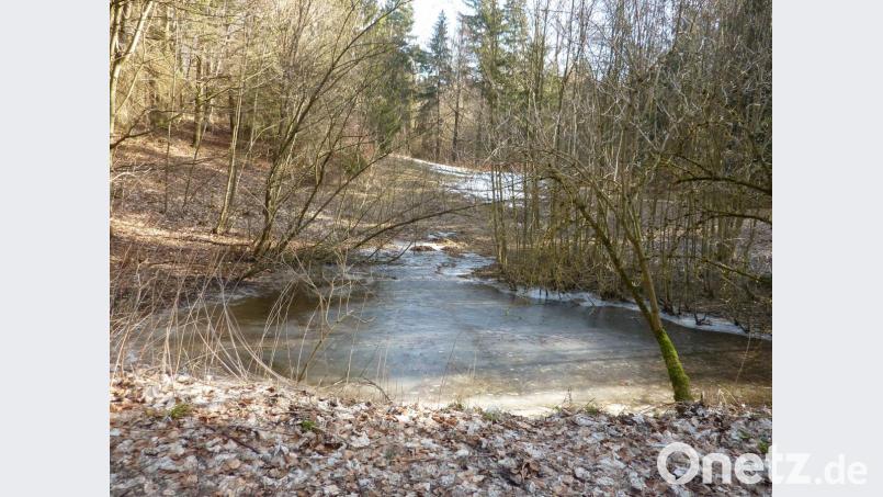 Nur noch wenige Ortskundige erkennen heute in der Senke kurz vor dem Waldrand, wo vom Weg von Kemnatheröd nach Heinzhof der Waldweg nach Zant abzweigt, die ehemalige Hüll des vorderen Finsterhüllbauern. Bild: schß