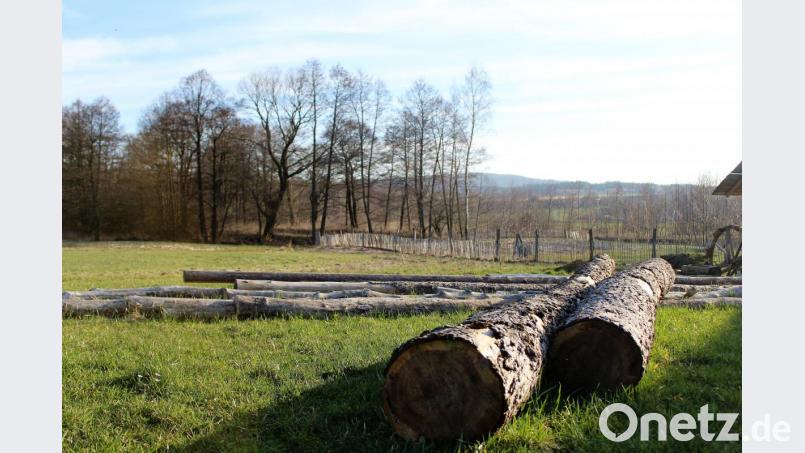 Vom Baumstamm bis zum Zaun - ein weiter Weg, hier dokumentiert im mittelalterlichen Geschichtspark Bärnau-Tachov. Bild: mvs