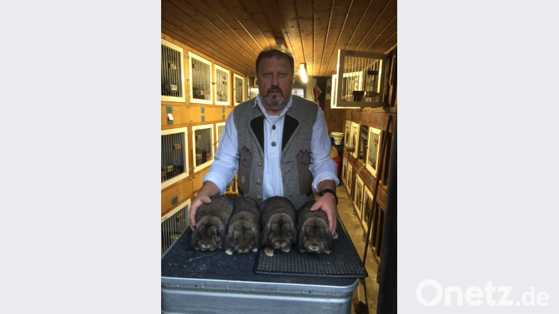 11 000 Rassekaninchen waren bei der Europaschau im dänischen Herning zu sehen. Horst Renner gewann dort mit seinen vier Zwergwiddern wildfarben den Europameistertitel. Bild: exb