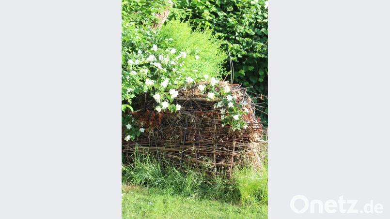 Eine Mini-Benjes-Hecke mit Wildrosenranke: Zwischen zwei Flechtwänden aus Hasel lagert Altholz, ein Zuhause für Glühwürmchen, Schnegel, Marienkäfer &amp; Co. im naturnahen Garten. Bild: mvs