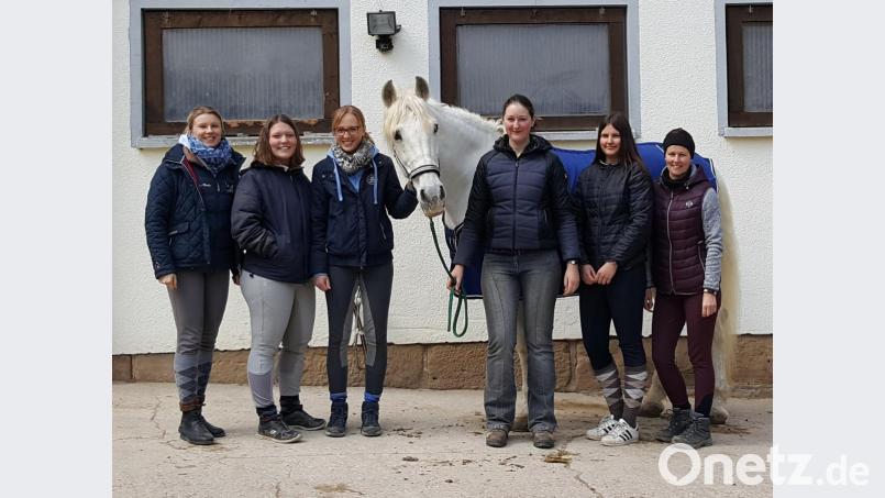Die Grafenwöhrer Tierärztin und Pferde-Osteotherapeutin Judith Bergler (Dritte von rechts) zeigt den Reiterinnen an drei Tagen, wie sie ihre Tiere richtig bewegen. Bild: hai