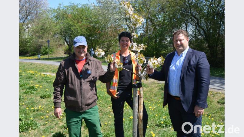 Stadtgärtner Willi Kilian, Brigitte Bassek und Zweiter Bürgermeister Stefan Grillmeier (von links) freuen sich über die Blütenpracht an vielen Stellen in der Stadt, etwa am Rad- und Fußweg beim „Fit- &amp; Fun-Park“. Bild: jr
