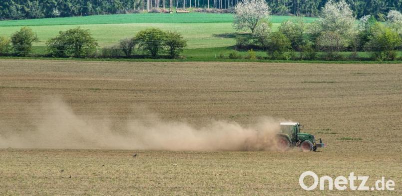 Wälder und Felder, wie hier bei Waldeck, sind momentan extrem trocken. Bild: sds