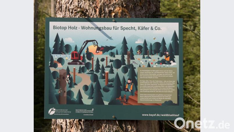 Der Text rechts unten auf dem Schild informiert über die Forstwirschaft und den Naturschutz im Wald. Bild: tr