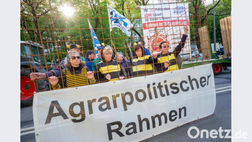 Vier als Bienen verkleidete Milchbäuerinnen vor der bayerischen Staatskanzlei. Bild: Peter Kneffel/dpa