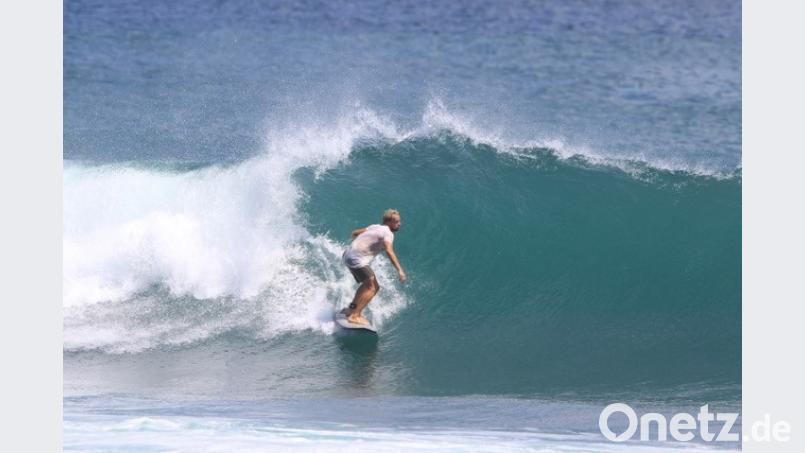 Gute Figur auf dem Brett. Bild: Nora Mehnert