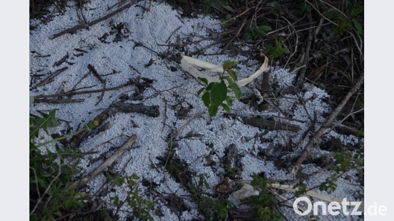 Der Katzenbesitzer kippt seit Monaten die Katzenstreu seines Vierbeiners einfach neben einem Baum am Feldrand im Bereich Eglseeweihergebiet. Bild: dob
