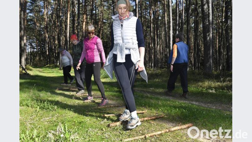 Sportfachleute sprechen von einer „Koordinationsleiter“: Der Bewegungstreff baut sich dieses Sportgerät selbst, aus Zweigen, die er im Wald bei Penkhof findet. Die Teilnehmer üben darauf zum Beispiel das Gehen auf unterschiedlichen Untergründen, laufen Slalom, schulen ihren Gleichgewichtssinn – und haben Spaß dabei. Bild: Petra Hartl