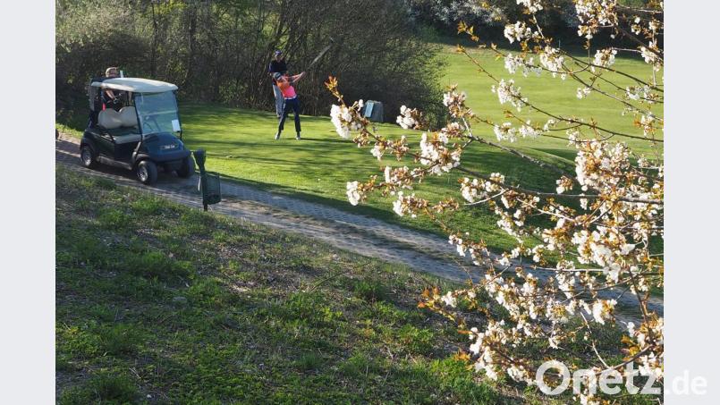 Blühende Hecken und gepflegtes Grün: Mit dieser Kombination will der Golf- und Landclub Oberpfälzer Wald punkten. Bild: bl