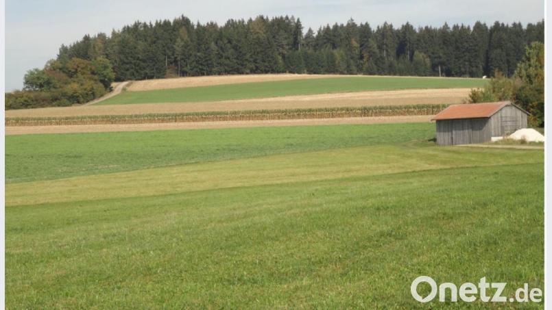 Die Fluren „Gleiritsch-Äcker“ (Fundstelle des Spinnwirtels) sind links zu sehen. Rechts daneben, etwa ab der Scheune, befindet sich der westliche Teil der Ortsflur „Spitznenwies“ bzw. „Spitzl“ (Fundstelle des Mahlsteins). Bild: ken