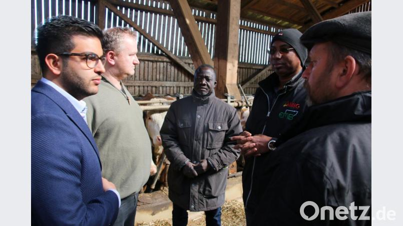 Internationale Milchbauern-Solidarität: (von rechts) BDM-Vorstand Hubert Meiler, Ibrahim Adama Diallo, Adama Dembele zu Gast im Kuhstall beim örtlichen BDM-Chef Werner Reinl mit Übersetzer. Bild: jrh