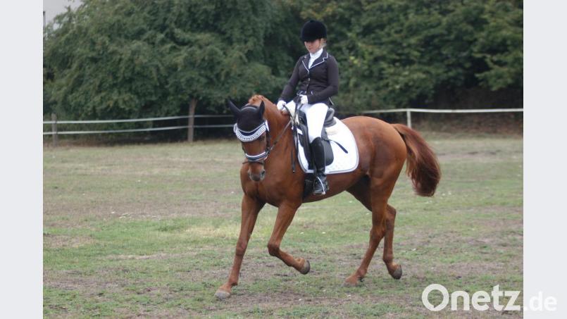 Beim Herbstturnier im vorigen Jahr waren nur Dressurreiter am Start. Auch beim diesjährigen Nachwuchsturnier beschränkt sich die RSG Weiden auf die Dressurreiterei. Bild: otr