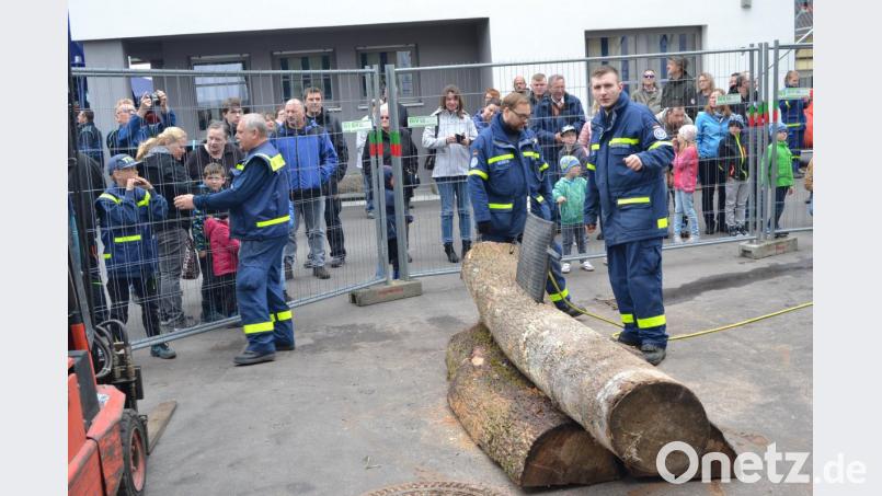 Baumsprengung mittels eines Druckluftkissens: Eine der vielen, sehenswerten Vorführungen fasziniert die Zuschauer. Bild: hcz