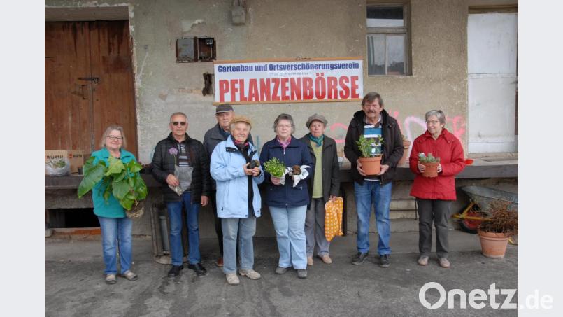 Eine wahre Fundgrube für Schnäppchenjäger: Die Pflanzenbörse des Gartenbauvereins. Bild: pop