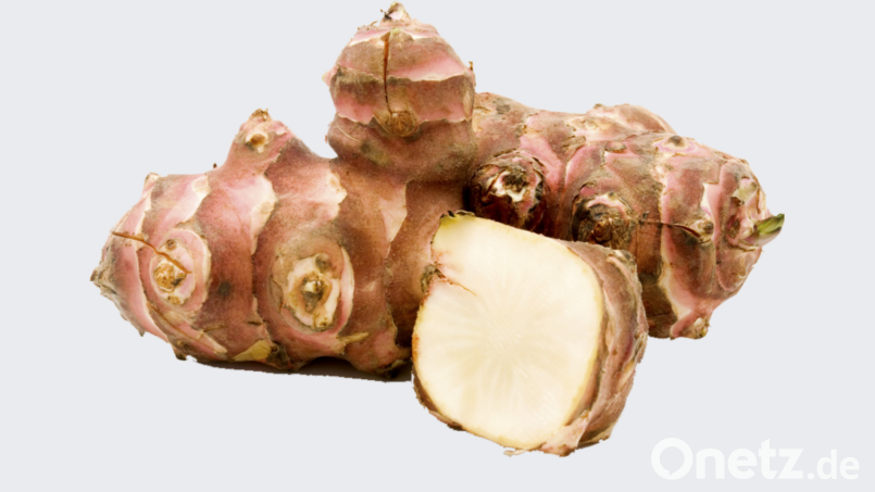 Topinamburknolle Bild: njn