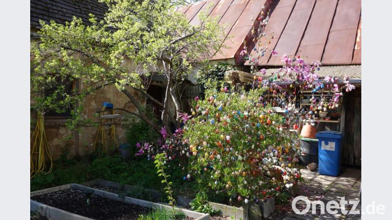 Bunt und farbenfroh schimmern die vielen handbemalten Ostereier zwischen dem frischen Grün und den Blüten eines Magnolienstrauchs. Bild: fjo