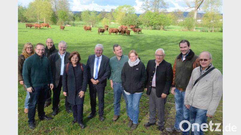 Im Hintergrund grast Lars mit seinen Kühen. Vorne informieren sich CSU-Mitglieder über die Zucht von Angus-Rindern. Bild: Kunz