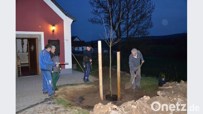 Beim Pflanzen der Esskastanie an der Kapelle in Saubersrieth packten Dorfbewohner mit an. Bild: gi