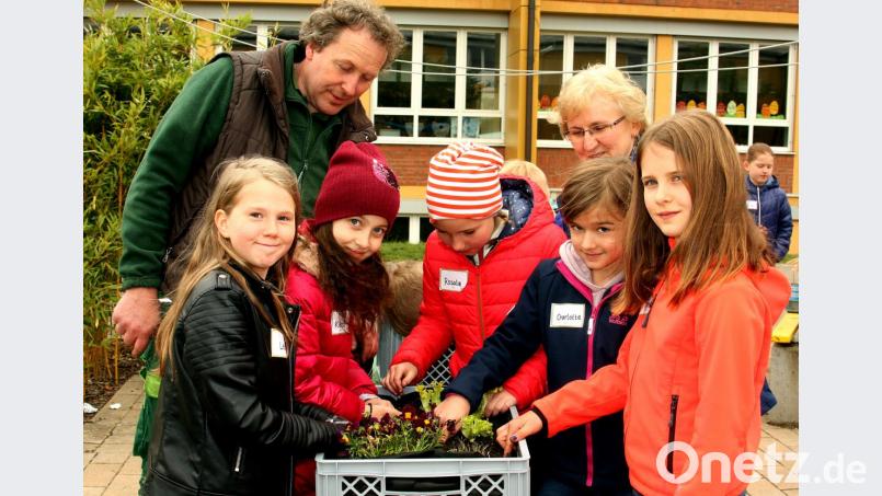 Die Kinder pflanzten mit dem Gärtnermeister Andreas Gloßner (links) und Maria Müller (hinten) Sämlinge und Salatpflanzen in die vorbereiteten Anpflanzkisten. Nun heißt es gießen und beobachten, ehe die ersten Radieschen oder Schnittlauch geerntet werden kann. Bild: R. Kreuzer