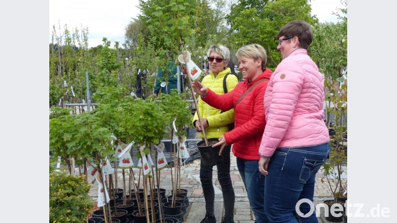 Beim Bummel durch die Anlage gab es viel für die eigene Garten-Oase zu entdecken. Bild: cv
