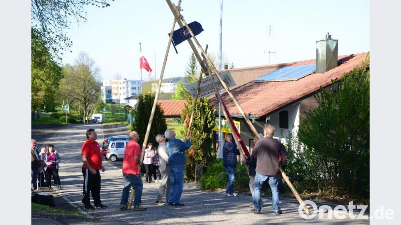 Hauruck: Mitglieder des VdK, der AWO, der KAB und der Gewerkschaft stellen den Freiheitsbaum auf. Bild: bey