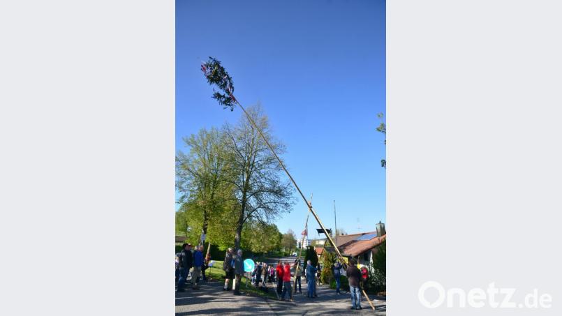 Hauruck: Mitglieder des VdK, der AWO, der KAB und der Gewerkschaft stellen den Freiheitsbaum auf. Bild: bey
