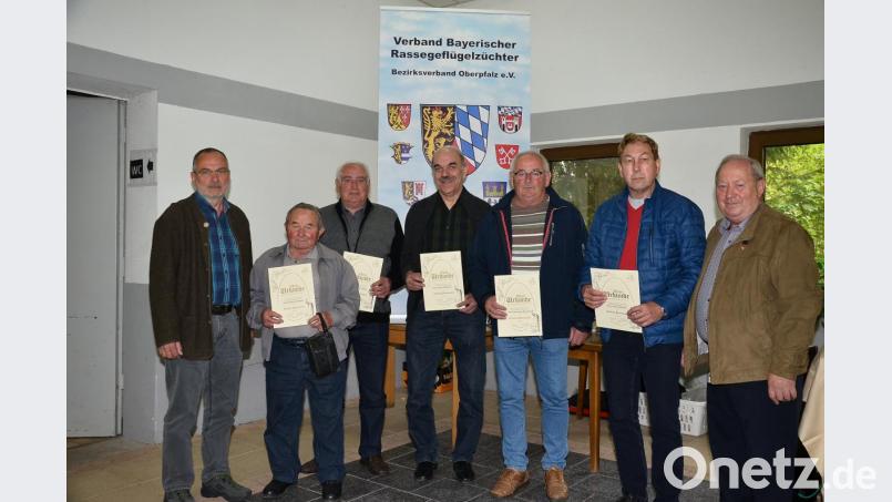 Die neuen Träger von Bundesnadeln sind (mit Urkunden, von links): Georg Lehmeier, Reinhold Janker, Josef Striegl, Alexander Blaschke und Henry Rehfeldt. Bild: fjo