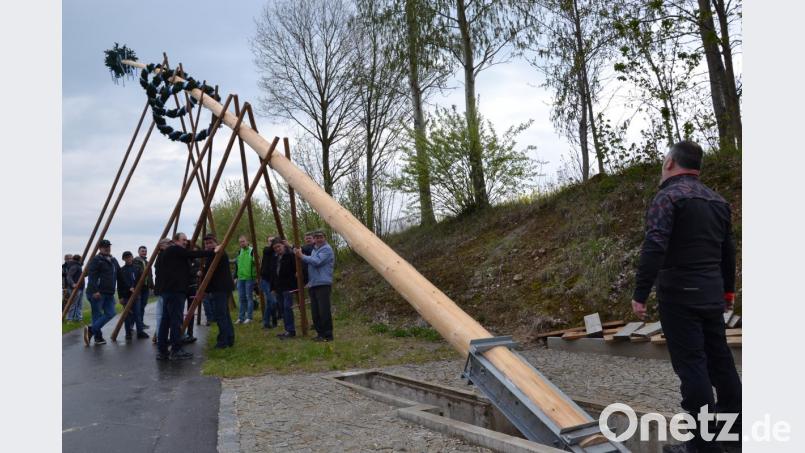 Feuerwehr Gröbenstädt und Schützenverein Gebhardsreuth stellten mit viel „Hau ruck“ und Muskelkraft unter dem Kommando von Roland Bäumler wie in alten Zeiten den Maibaum in Gebhardsreuth auf. Bild: gi