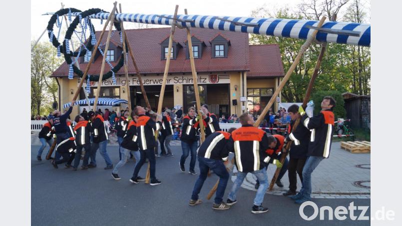 Mit vereinten Kräften bringen die Feuerwehrleute den Maibaum in die Senkrechte. Bild: du