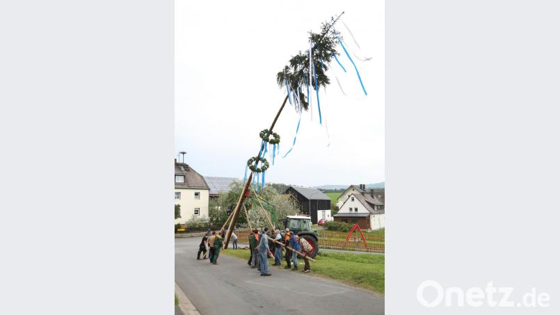 Maibaum Altköslarn Bild: hwk