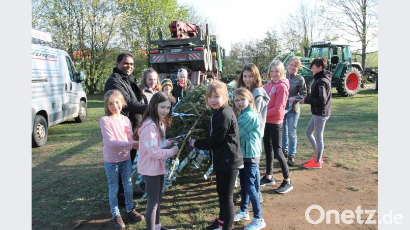 Auch Pfarrer Julius Johnrose (links) hilft beim Schmücken des Maibaums mit. Bild: pi