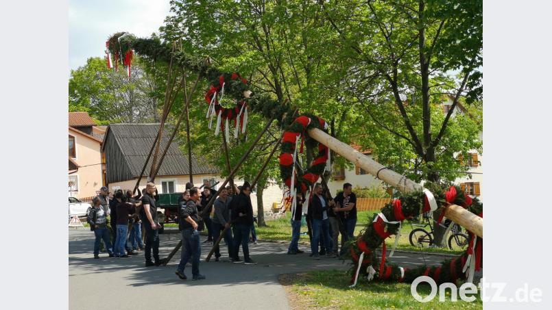 Ganz traditionell mit Holzschwalben und Muskelkraft hievten Mitglieder der Feuerwehr Pleußen den mit rot-weißen Kränzen geschmückten Maibaum in die Höhe. Bild: lnz