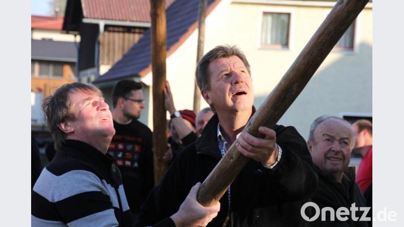 Auch Gauschützenm,eister Manfred Zölch (rechts) hilft mit beim Maibaumaufstellen. Bild: kro