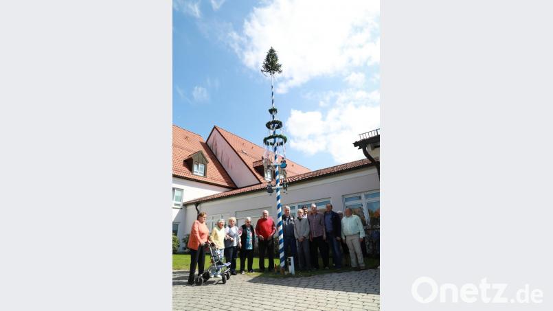 Zum Maifest des BRK-Seniorenwohn- und Pflegeheims gehörte auch das Aufstellen des Maibaums. Mit auf dem Bild Heimleiter Andreas Wöhrl (zweiter von rechts) und BRK-Kreisgeschäftsführer Sandro Galitzdörfer (vierter von rechts). Bild: njn