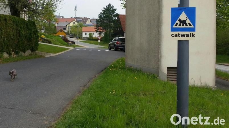 Walperer in Kirchenthumbach. Bild: jma