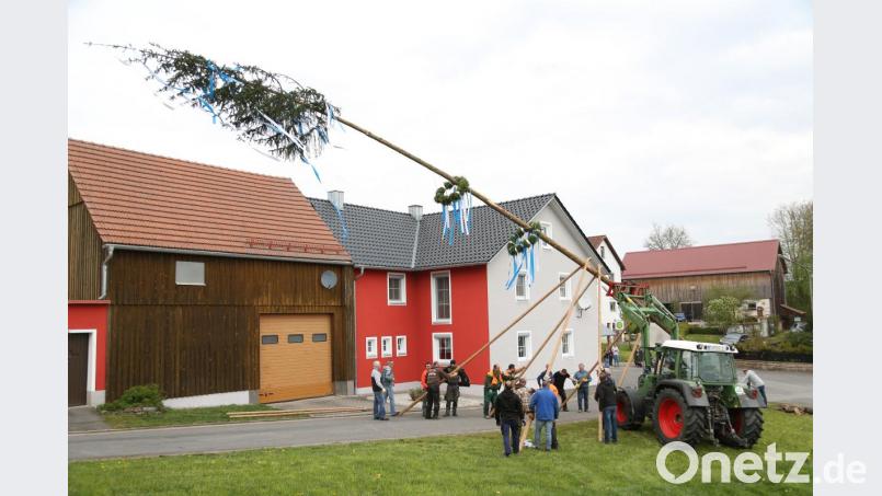 Maibaum Altköslarn Bild: hwk