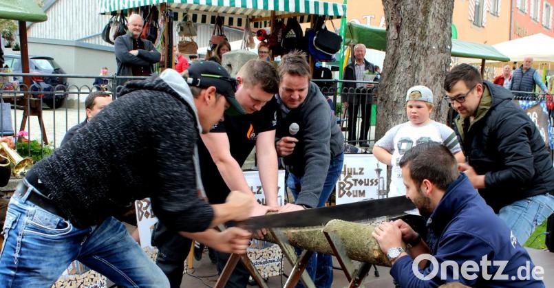 Die Flosser Feuerwehr lässt sich den Sieg bei der ersten Flosser Bayerischen Olympiade nicht nehmen. Jede Disziplin wie hier das Baumstammsägen meistert sie bestens. Bild: le