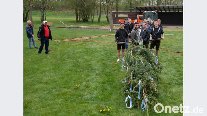 Mit Muskelkraft transportieren die Festburschen den Maibaum in den Kurpark. Bild: gz
