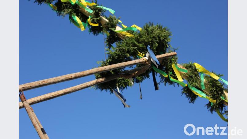 Mit sogenannten Schwalben wird der Maibaum in die Höhe gehievt. Bild: kro