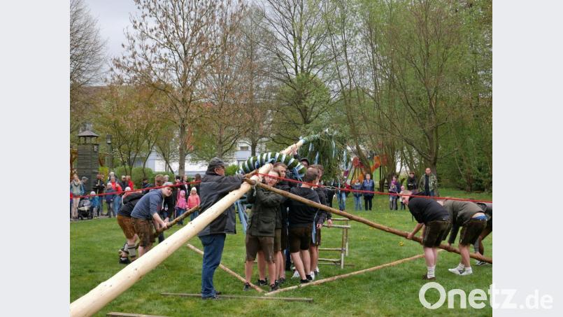 Die Festburschen feiern beim Aufstellen des Maibaums mit Schwalben eine gelunge Premiere. Bild: gz