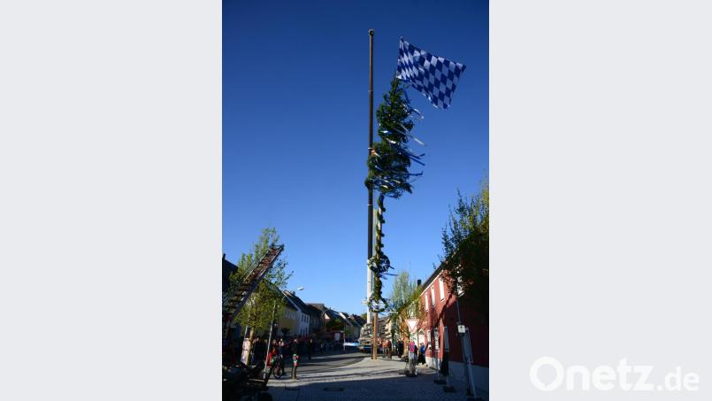 Es dauert nicht lange, bis der Maibaum sicher in der Senkrechte steht. Er hat eine stattliche Länge. Bild: bey