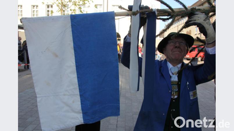 Imposant: Angeführt von der Tirschenreuther Stadtkapelle und den Werdenfelsern wird der Maibaum in einem Festzug in Tirschenreuth zum Marktplatz gebracht.Imposant: Angeführt von der Tirschenreuther Stadtkapelle und den Werdenfelsern wird der Maibaum in einem Festzug in Tirschenreuth zum Marktplatz gebracht.Tradition: Der 84jährige Josef Schmidkonz heftet die bayerische Fahne am Maibaum in Tirschenreuth fest.&quot;Maibaummeister&quot; Floran Busl (rechts) gibt letzte Anweisungen vor dem Heben des Maibaums. Bild: kro