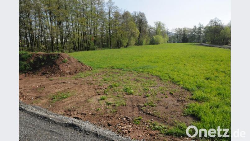 Entlang der Bäume muss der Markt Luhe-Wildenau einen Hochwasserretentionsraum anlegen. Daran angrenzend soll eine "Blühwiese" angelegt werden, die sich räumlich bis zum Fußweg (rechts im Bild) zum Baugebiet "Breiter Rain" erstreckt. Bild: bey