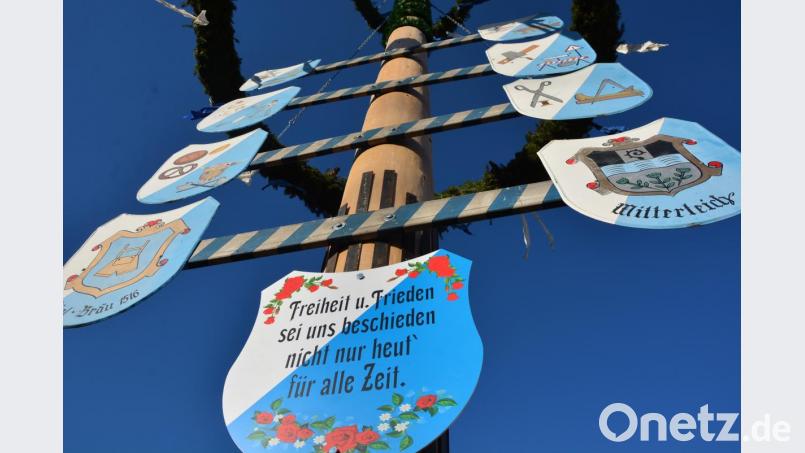 Zunftzeichen mit nachdenklichen Worten am Maibaum am Anger in Mitterteich. Bild: jr