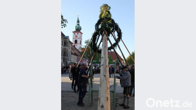 Imposant: Stadtpfarrkirche und der Maibaum. Bild: kro