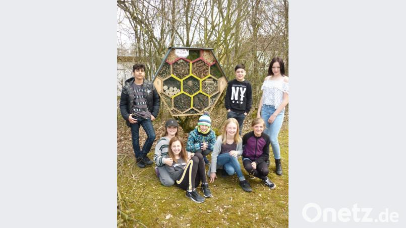 Die Mittelschüler mit dem von ihnen ausgestatteten Insektenhotel im Schulgarten. Bild: exb