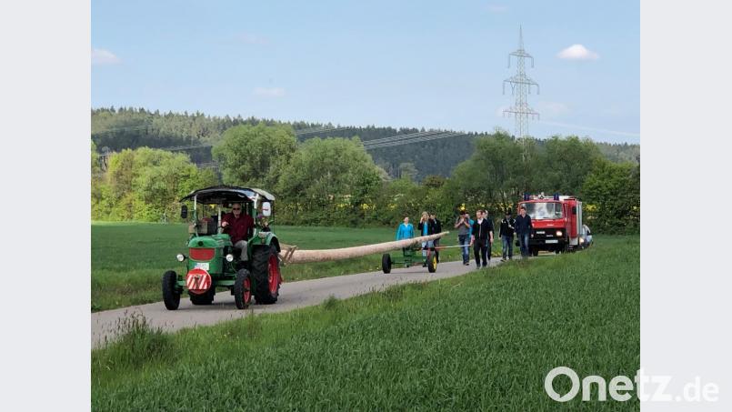Der Transport des 31 Meter langen Maibaumes funktioniert ohne Probleme. Bild: wlr
