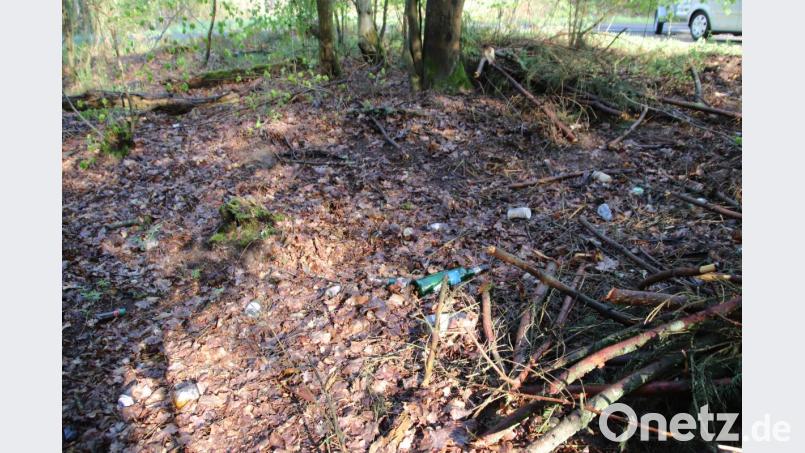 Reste der Babyparty im Wald. Bild: jma