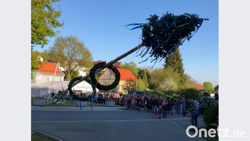 Zentimeter um Zentimeter bewegte sich der Maibaum des Jahres 2019 in die Höhe, bevor er dann mit den Zunftzeichen geschmückt werden konnte. Bild: wlr